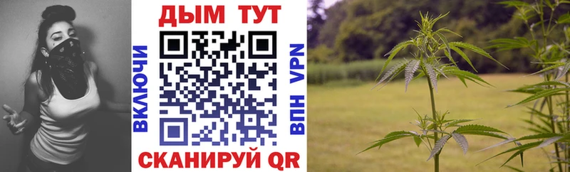 Купить где  Иваново  Канабис план 
